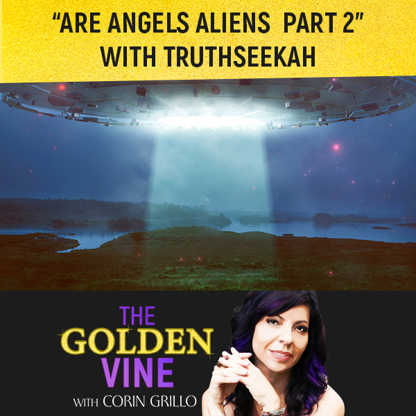 Are Angels Aliens? Part 2 With TruthSeekah