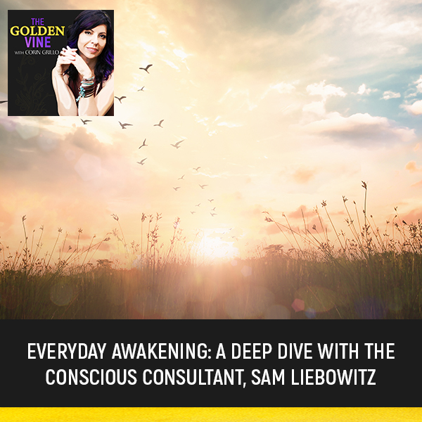 Everyday Awakening: A Deep Dive With The Conscious Consultant, Sam Liebowitz